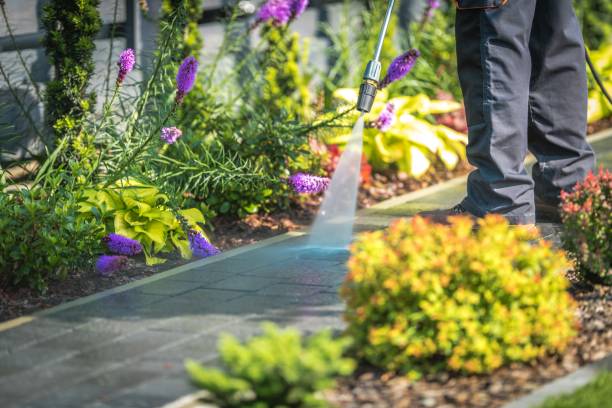Best Restaurant Pressure Washing  in Bayonne, NJ
