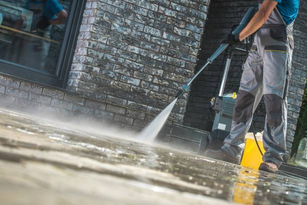 Best Solar Panel Cleaning  in Bayonne, NJ