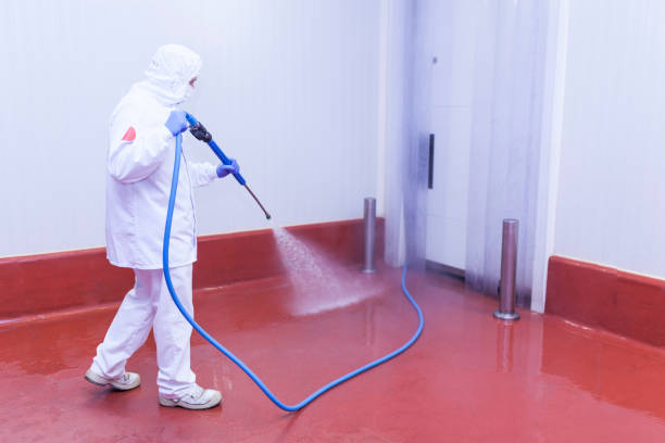 Best Post-Construction Pressure Washing  in Bayonne, NJ