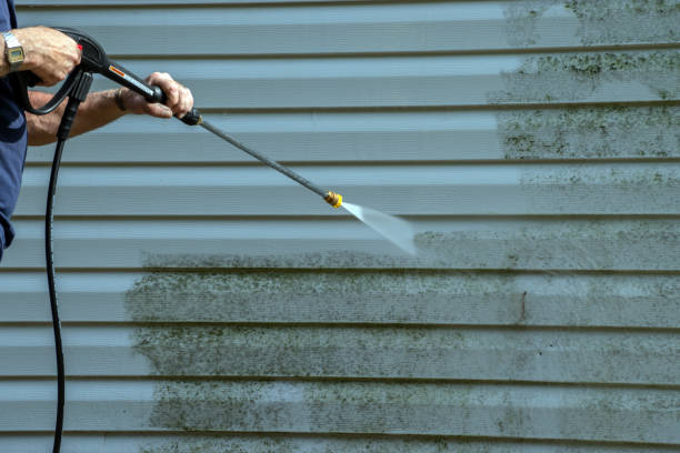 Best Graffiti Removal  in Bayonne, NJ