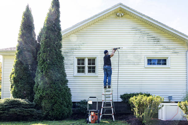 Best Graffiti Removal  in Bayonne, NJ